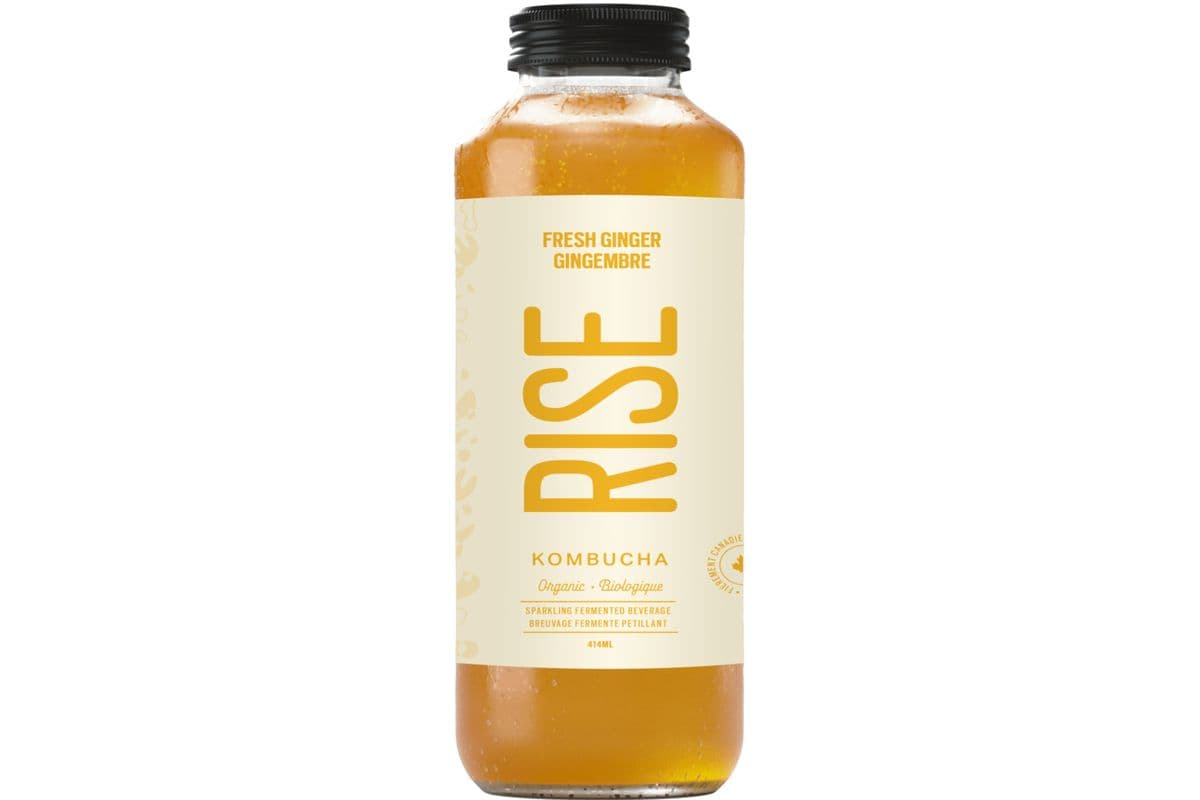Kombucha Gingembre