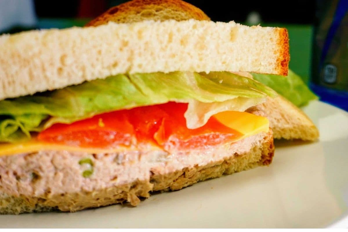 Tuna Salad Sandwich
