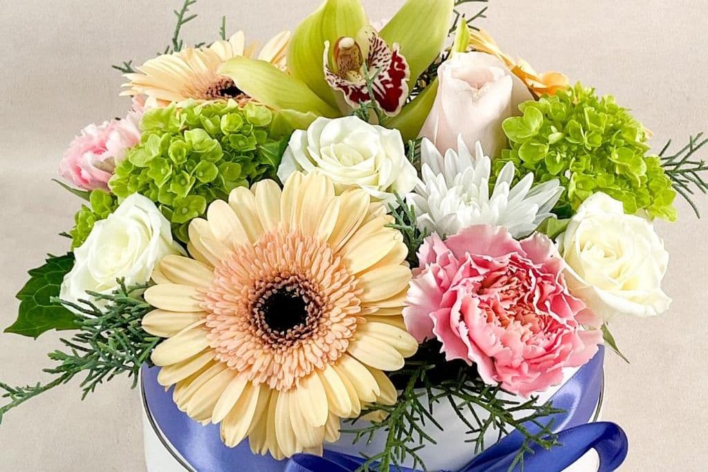 Signature Collection Edmonton Pastel Garden