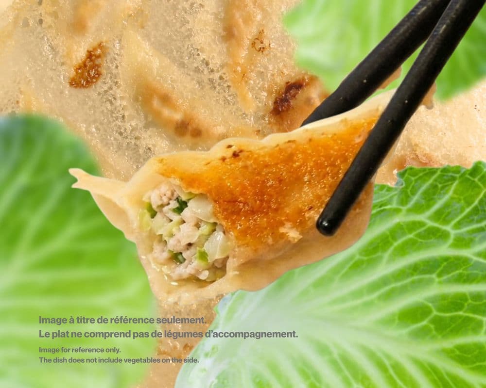 24.Chicken & Cabbage Dumpling / Poulet & Chou Gyoza