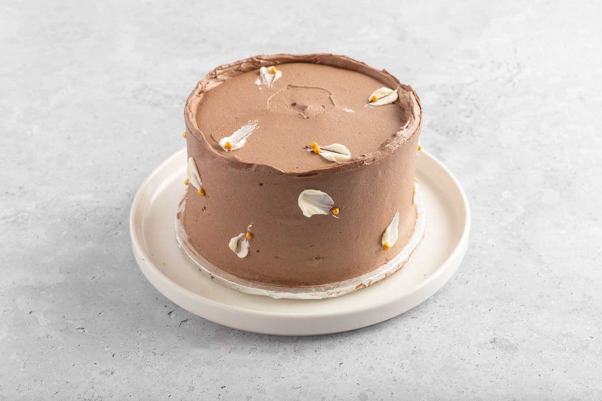 Regular Cakes