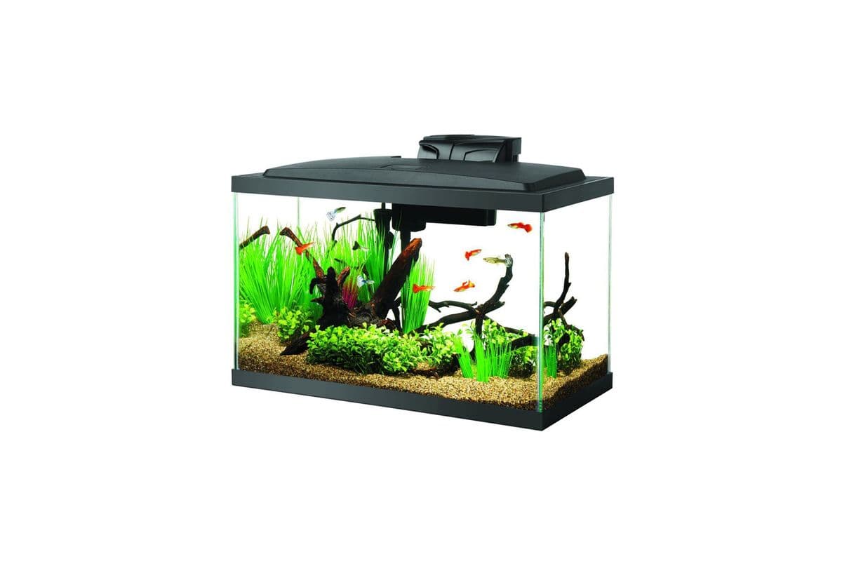 Aqueon LED Aquarium Kit (10 gal)