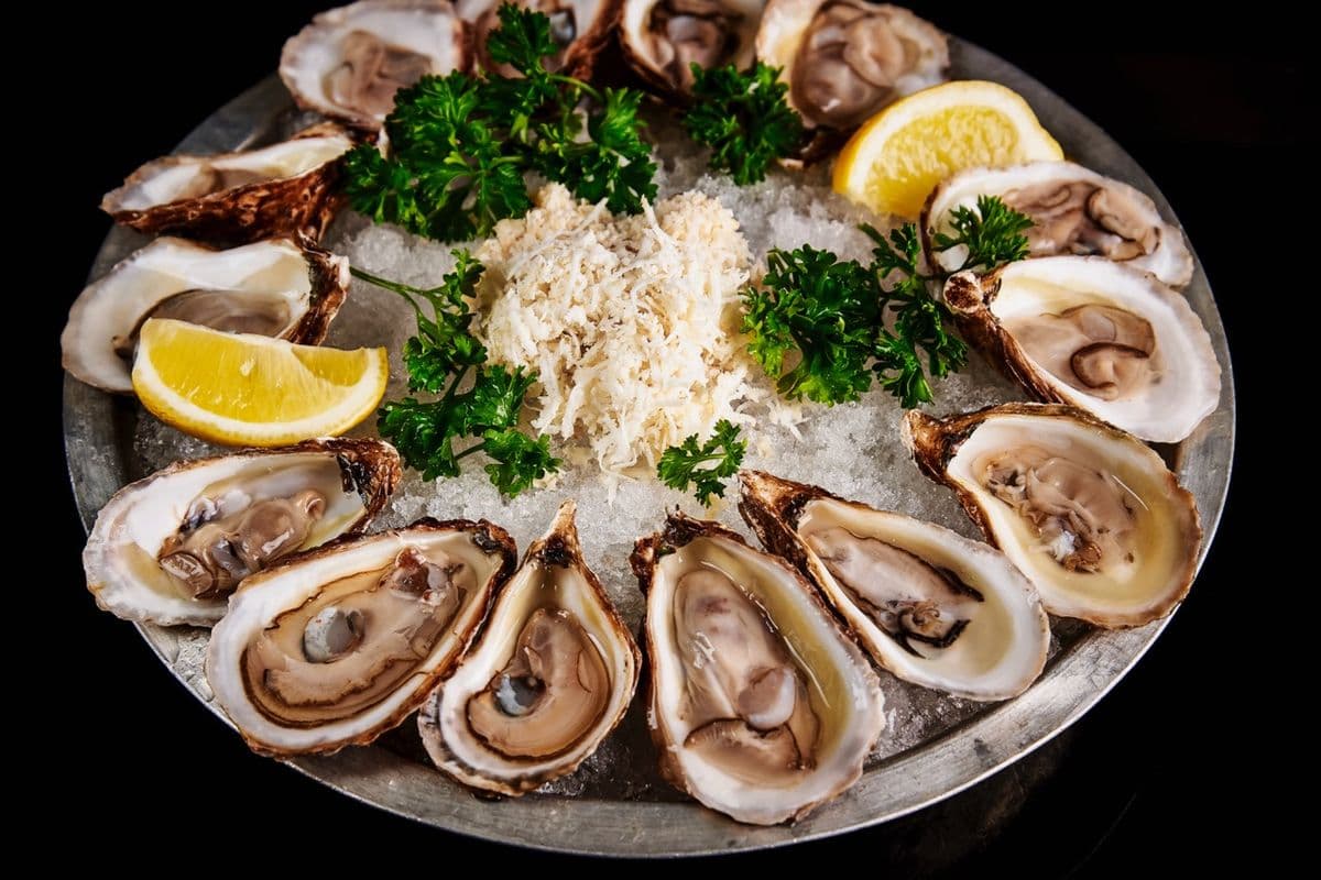 East Coast Oyster (6 Oyster)
