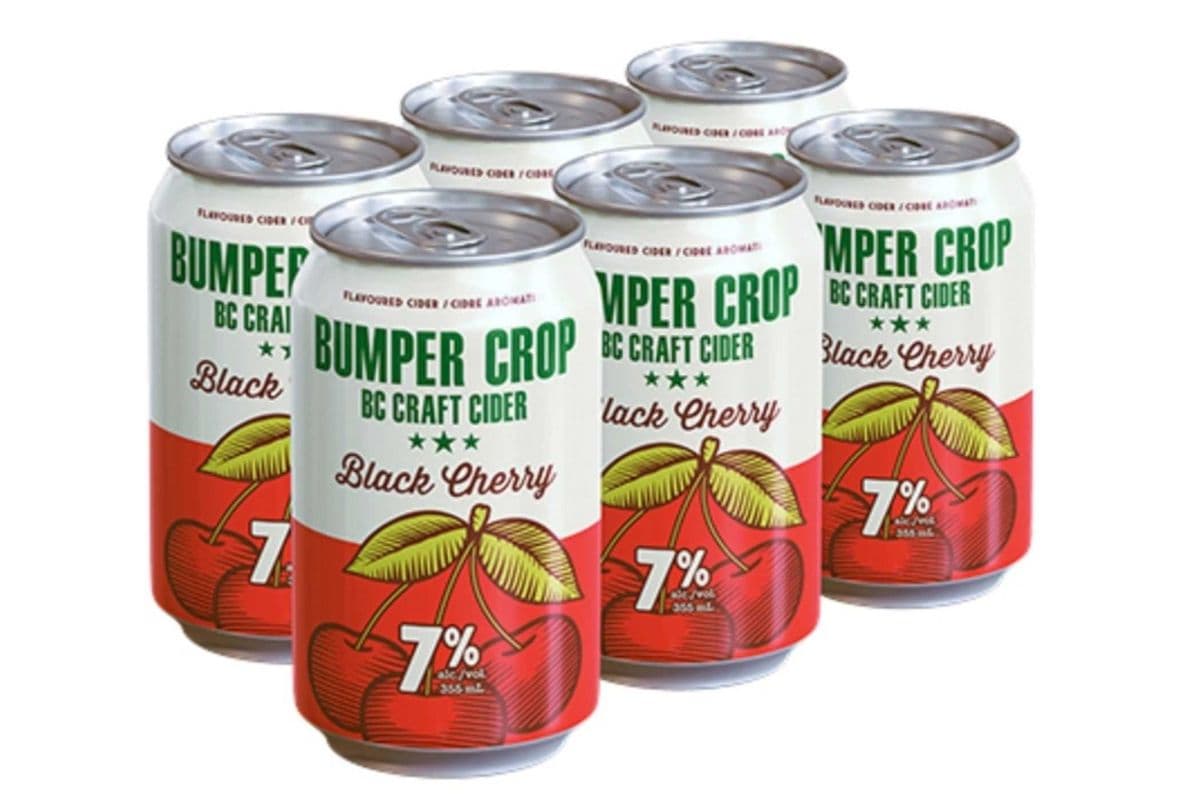 BUMPER CROP BLACK CHERRY 6 PK CANS (1 x 6 CANS )