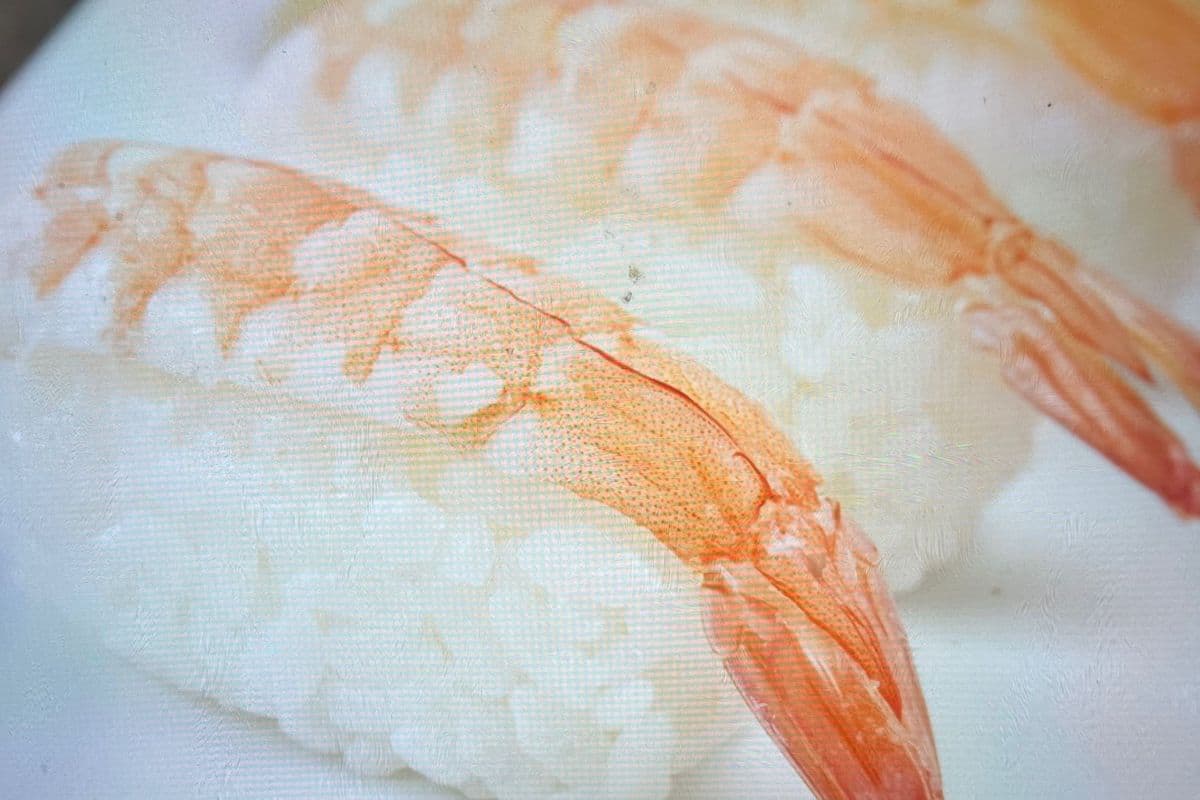 Ebi Nigiri (虾寿司)1pc