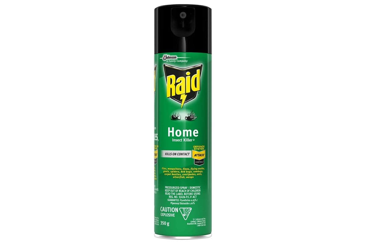 Raid Home Insect Killer Spray (350 ml)