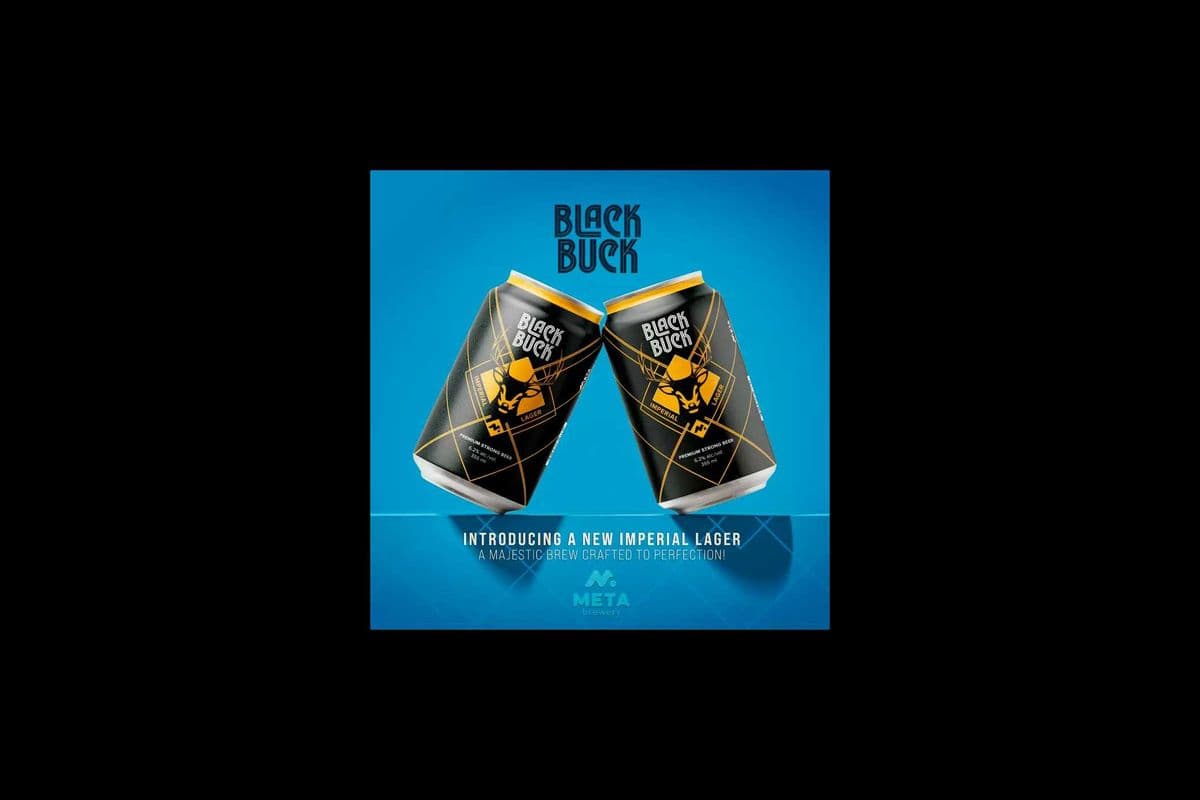 BLACK BUCK STRONG (8 x 355 ML)