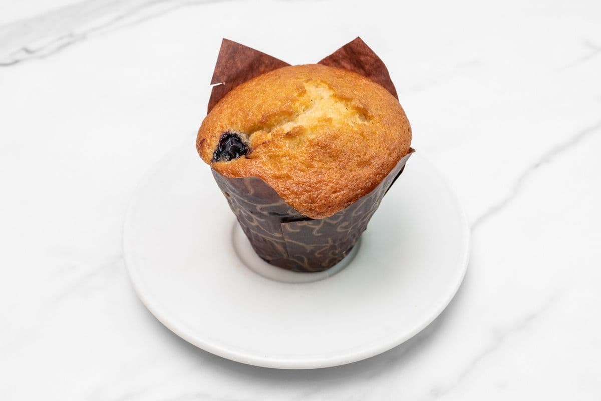 Blueberry Muffin