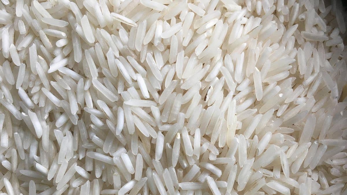 Steamed Basmati Rice