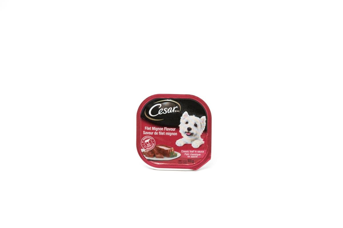 Cesar Entrees Filet Mignon Flavour Wet Dog Food (100 g)