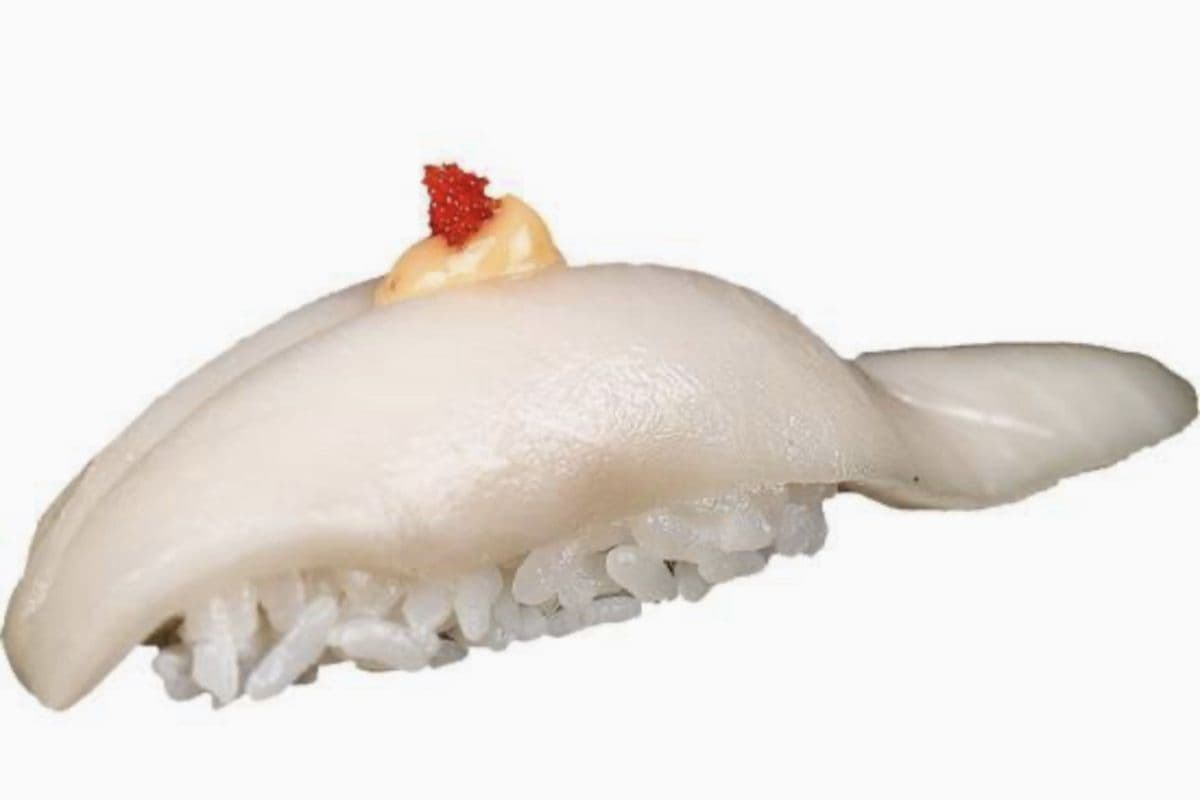 White Tuna