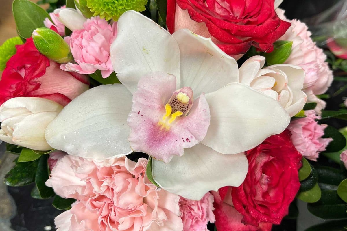 Everyday Lovely Orchid and Rose Arrangement