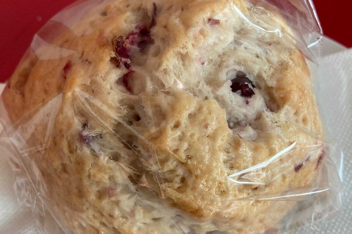 Cranberry scone with chocolate chips