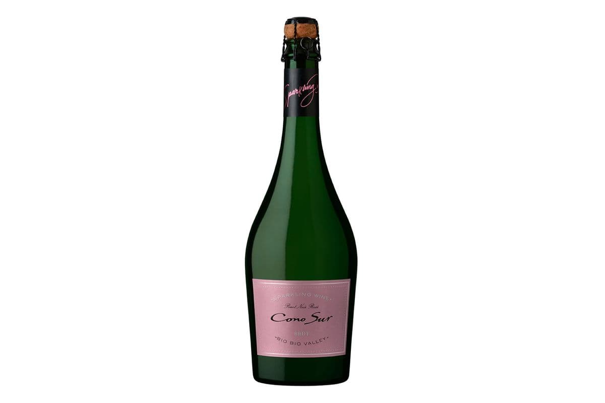 Cono Sur Brut Rose (1 x 750ml)