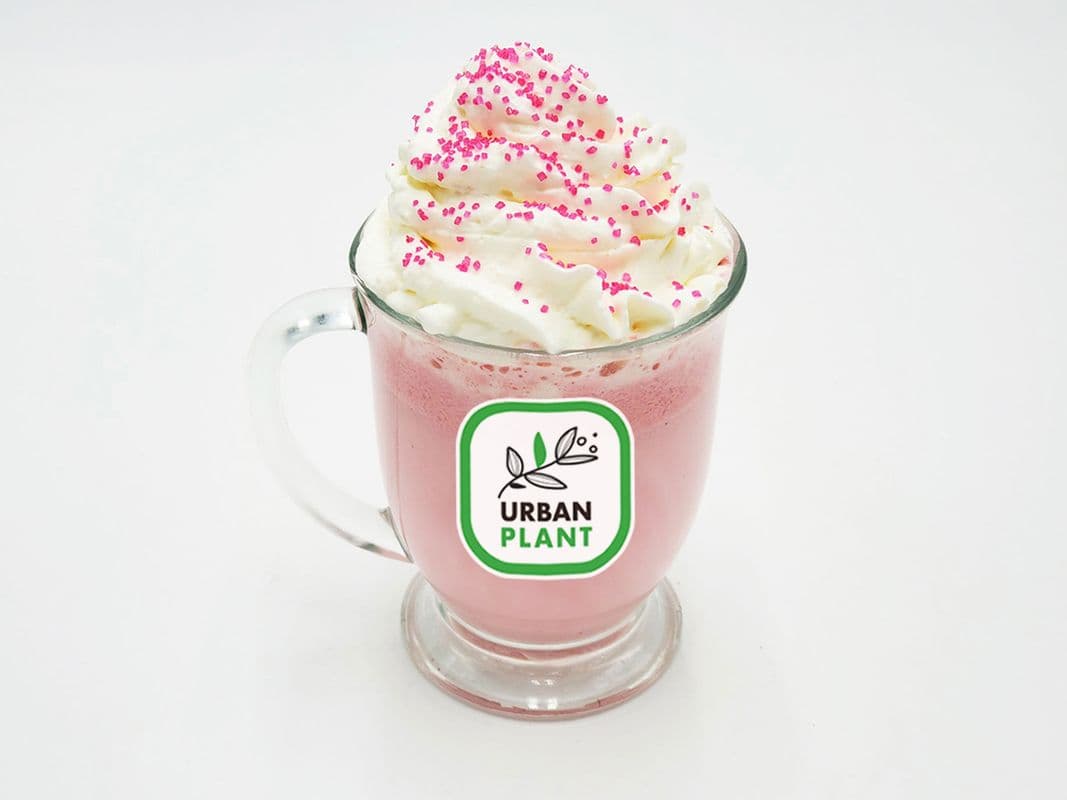 Pink White Choco Ice