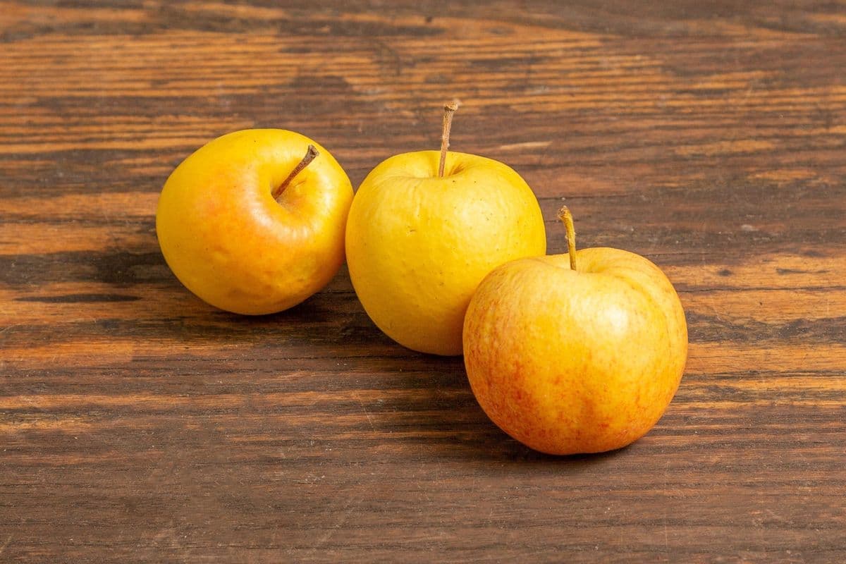 Apple, Ontario