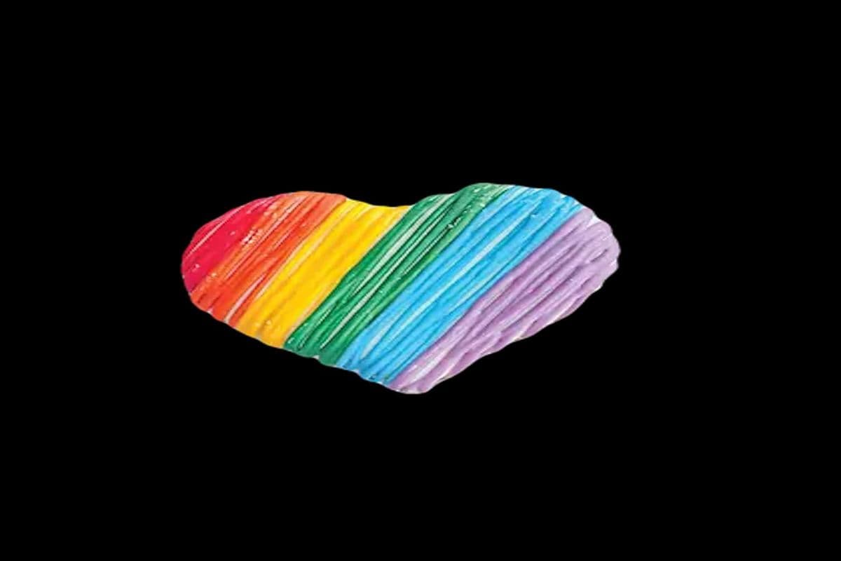 Pride Heart Dog Gourmet Cookie (1)