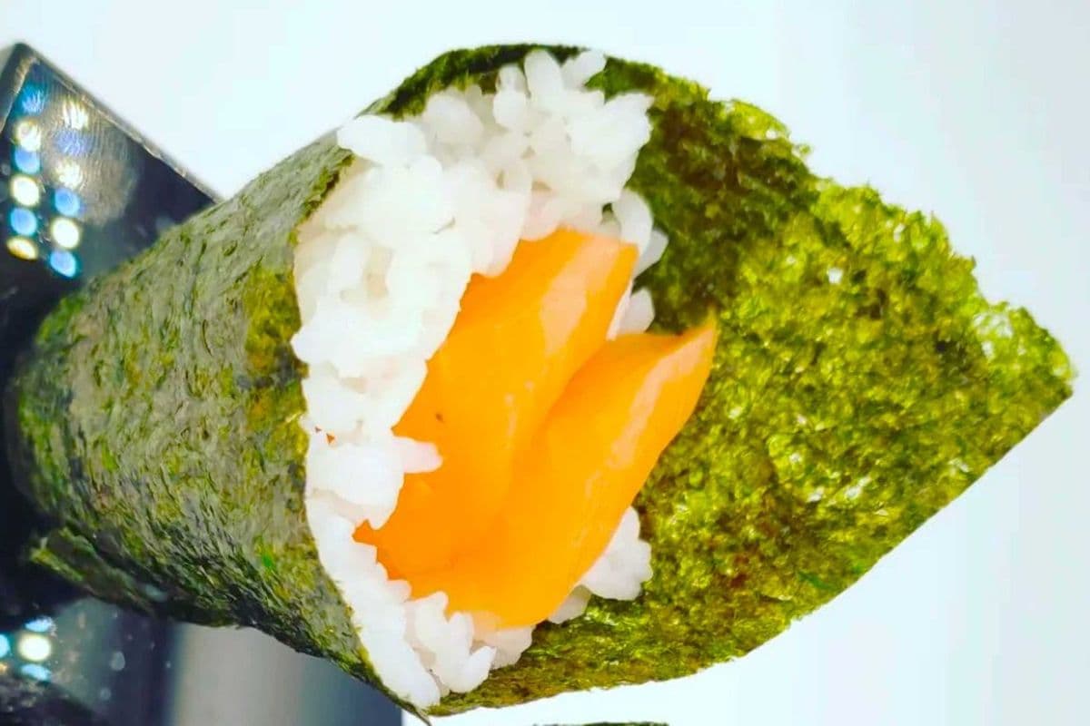 Salmon Cone