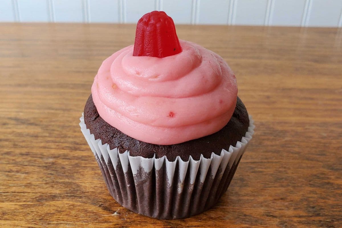 Chocolate Raspberry Regular Cupcake