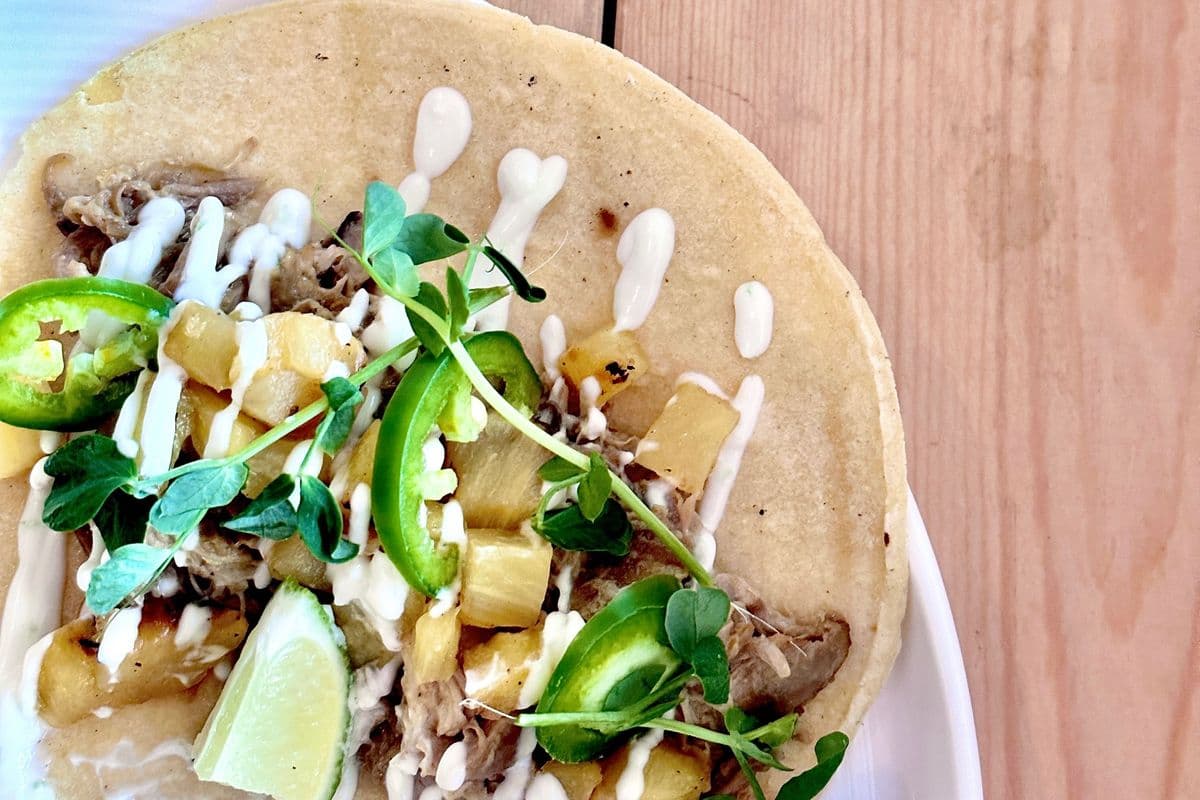 Coconut Chicken Adobo Tacos