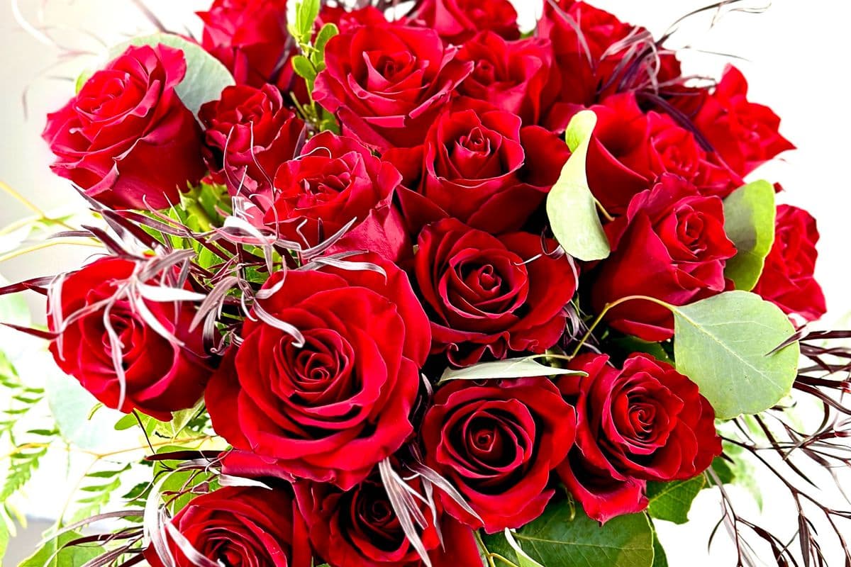 One Dozen Red Premium Long Stem Roses