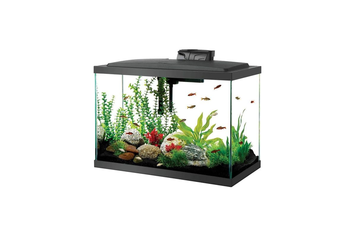 Aqueon LED Aquarium Kit - High (20 gal)
