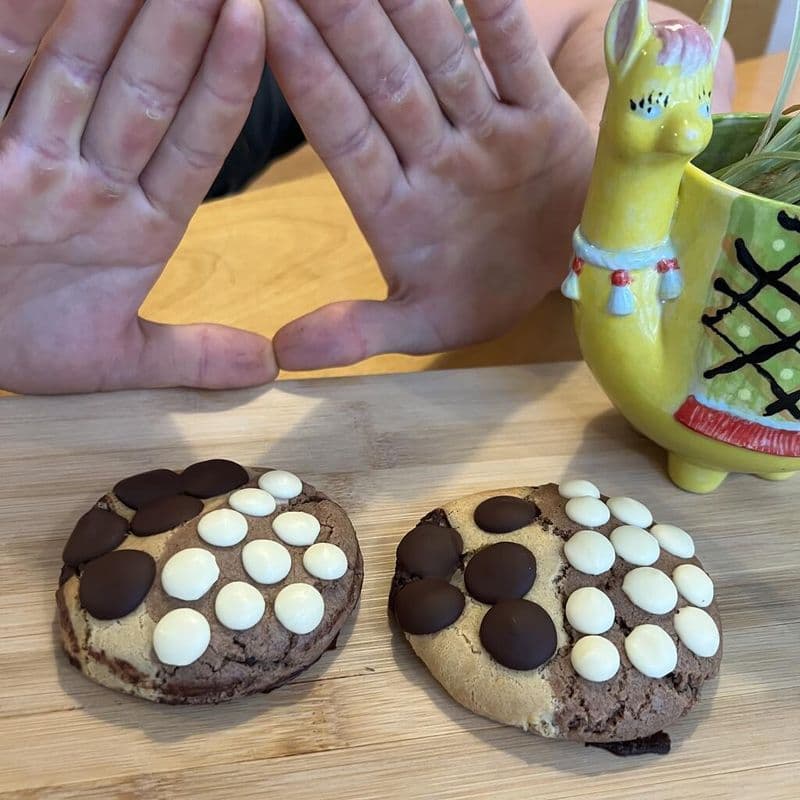 Biscuit Angine de poitrine