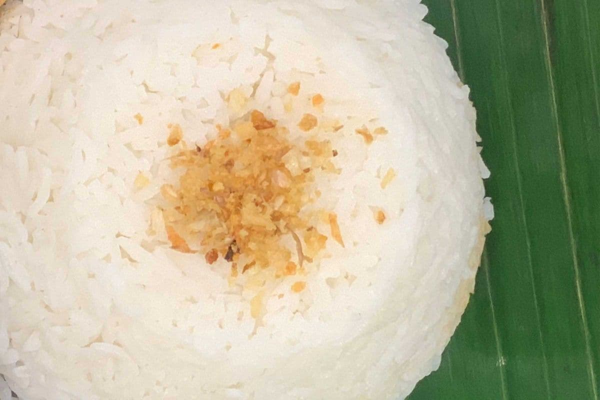 Rice