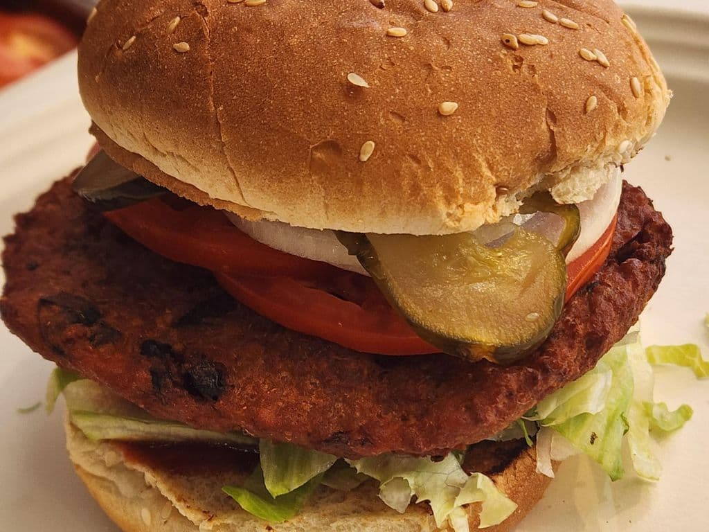 Premium Vegan Burger Combo