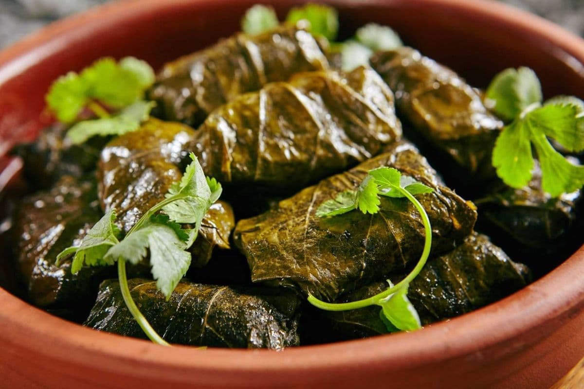 Stuffed Vine Leaves Appetizer