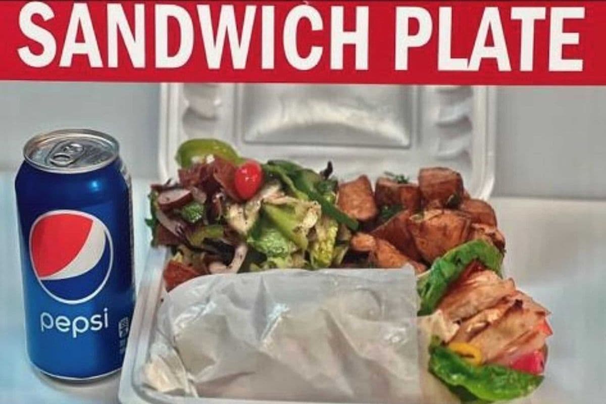 Sandwich Plate (Large Sandwich)