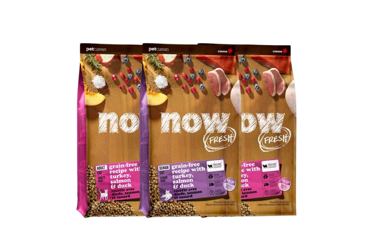 NowFresh Cat Food