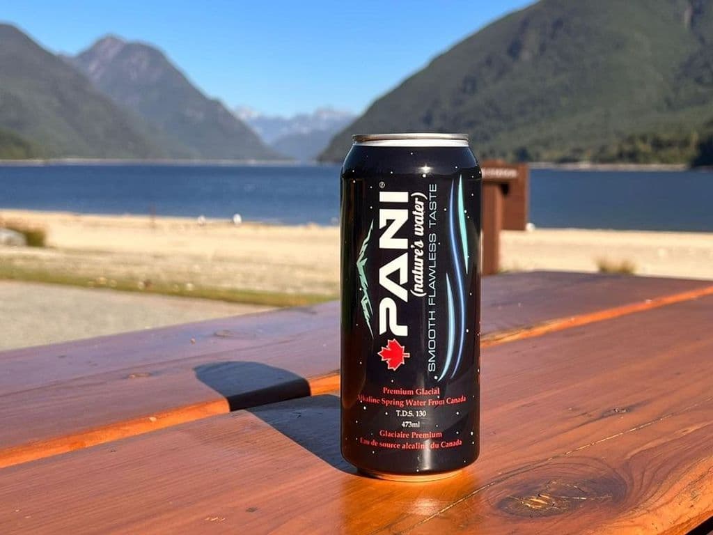 Pani- Canadian Alkaline Water Can 500 ml
