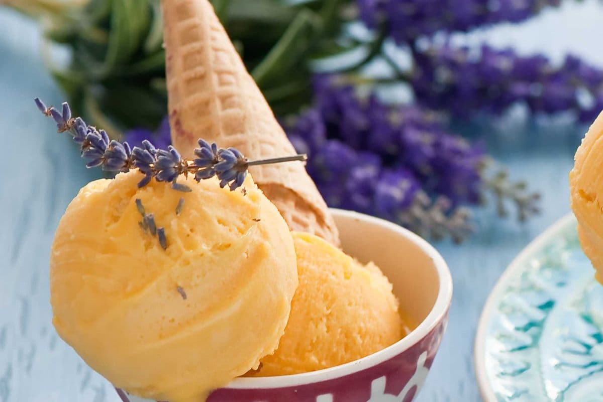 Mango Kulfi