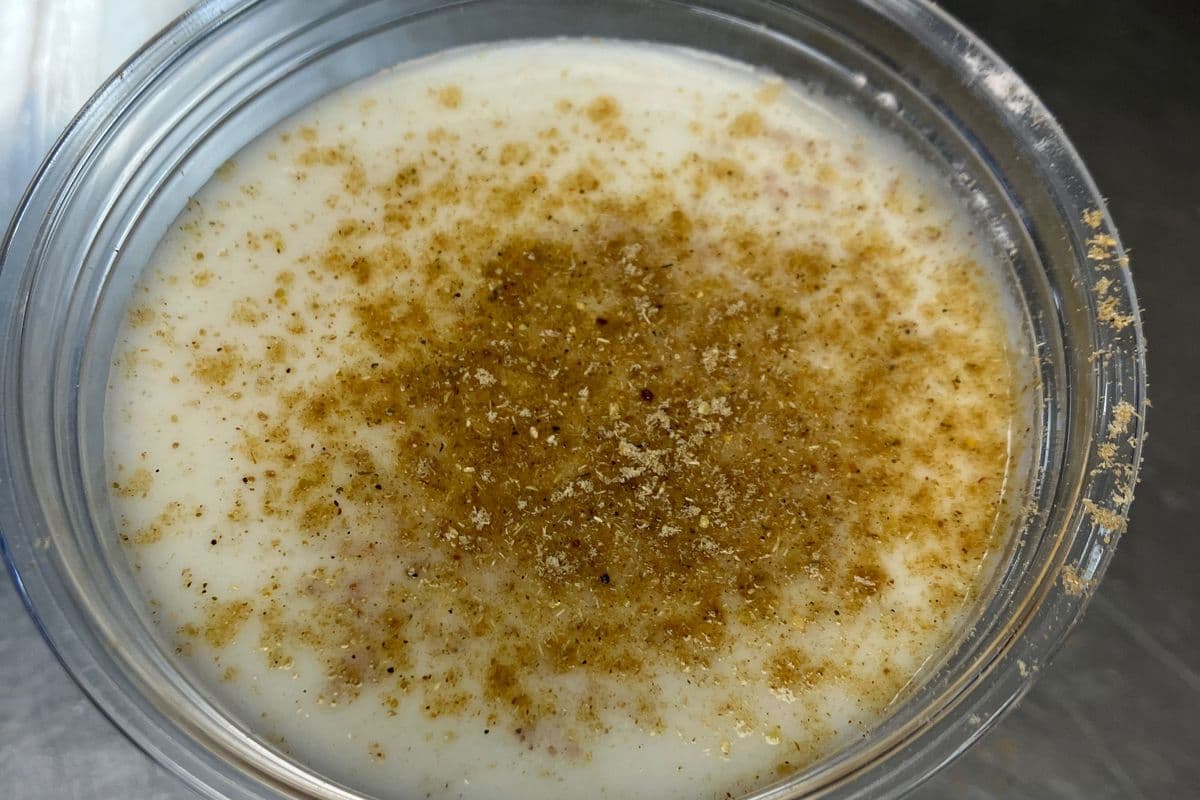 Masala Chass