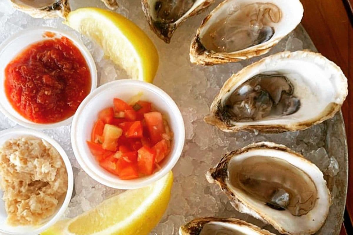 Oysters