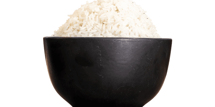Bowl of Rice