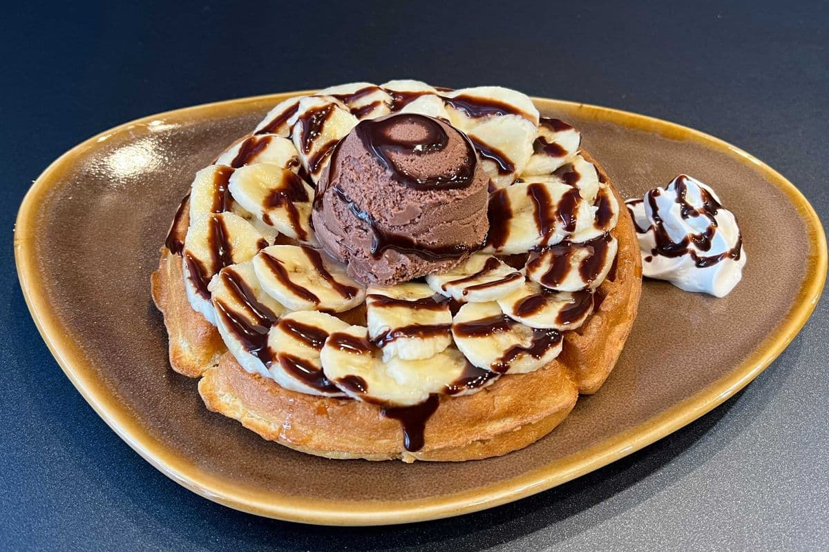 Chocolate Ice Cream Waffle