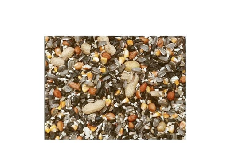 Blue Jay Seed Mix (20 lb)