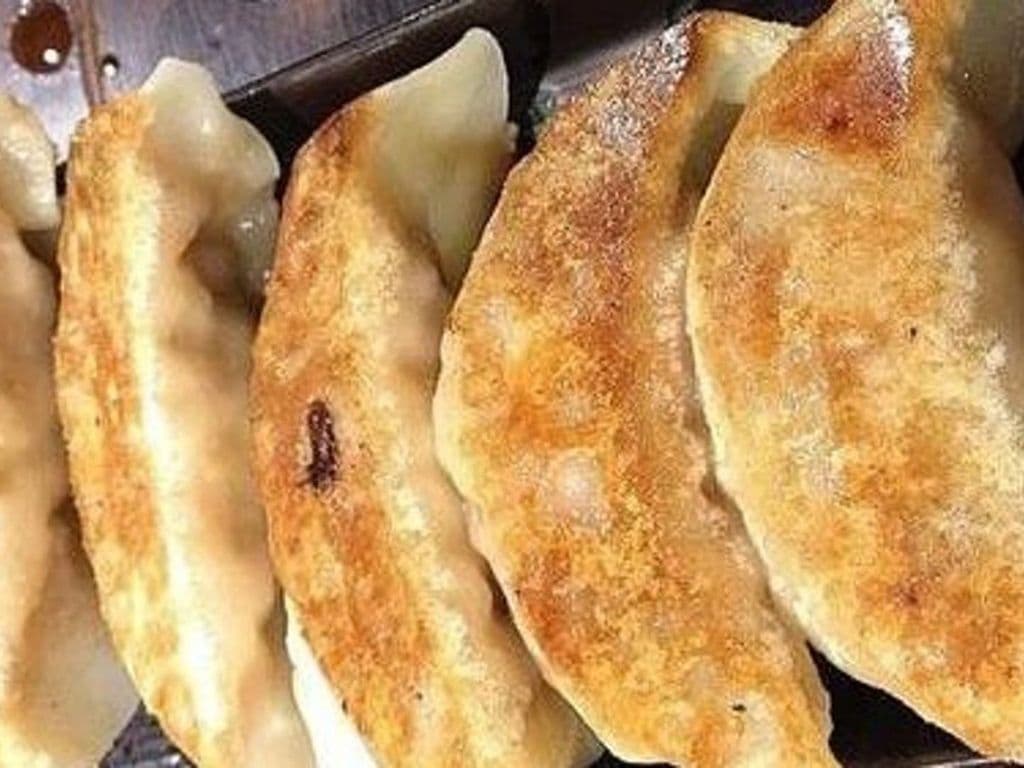 Pork Gyoza