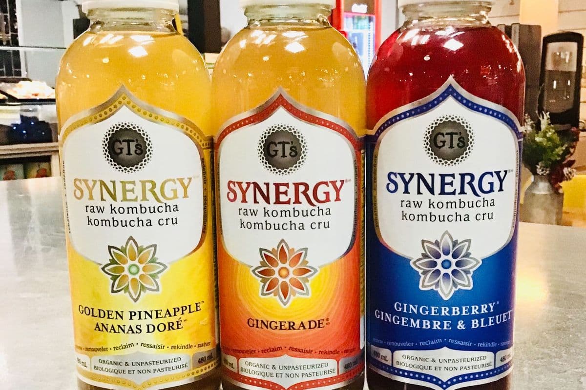 G.T.'s Synergy Kombucha