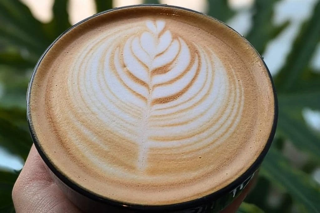 Cappuccino