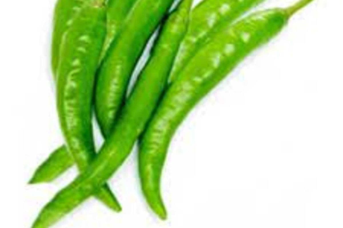 Fresh Long Chillies (100 g)