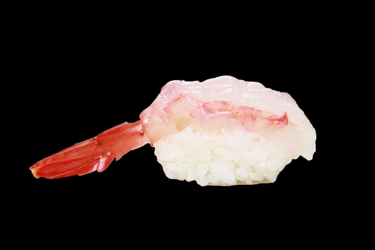 Amaebi Nigiri Sushi