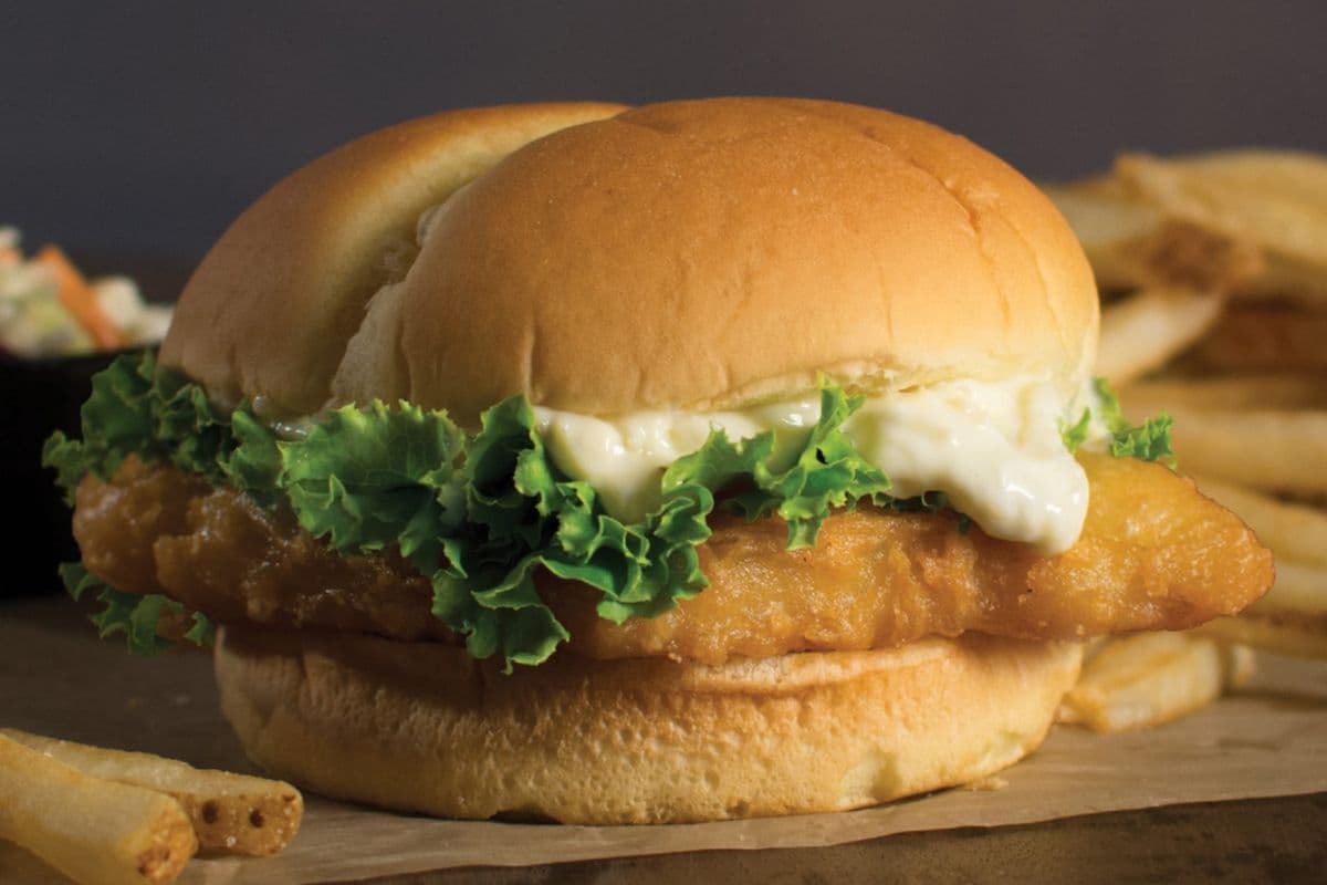 WB Haddock