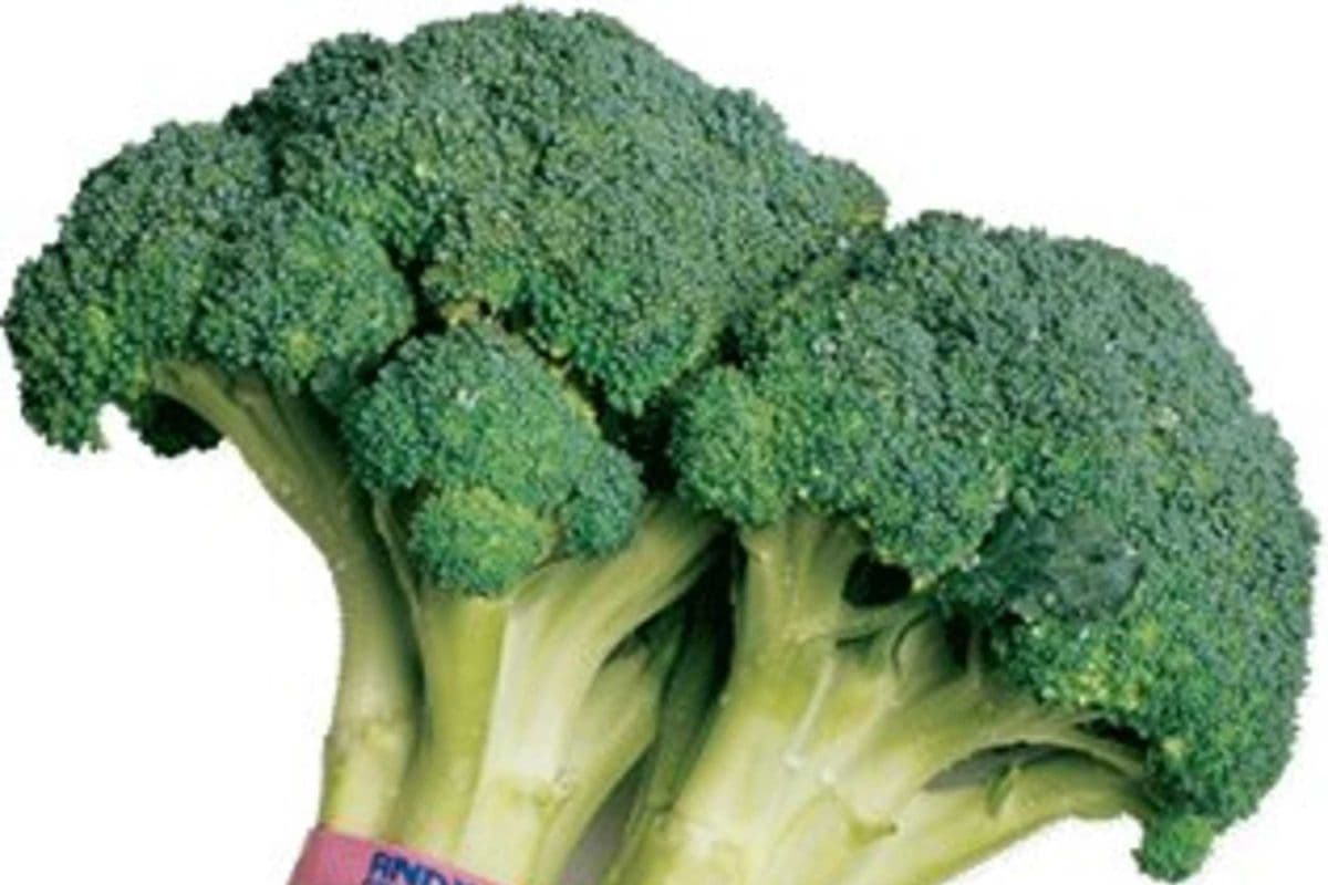 Broccoli 1.5lb