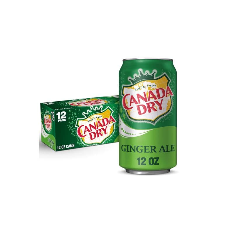 Canned Drink - Ginger Ale (355 ml)