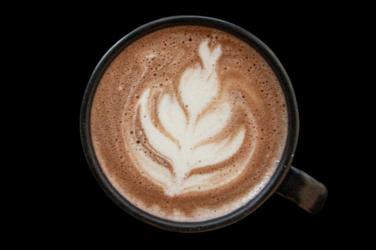 Lions Mane Cacao Superfood Latte (10oz)