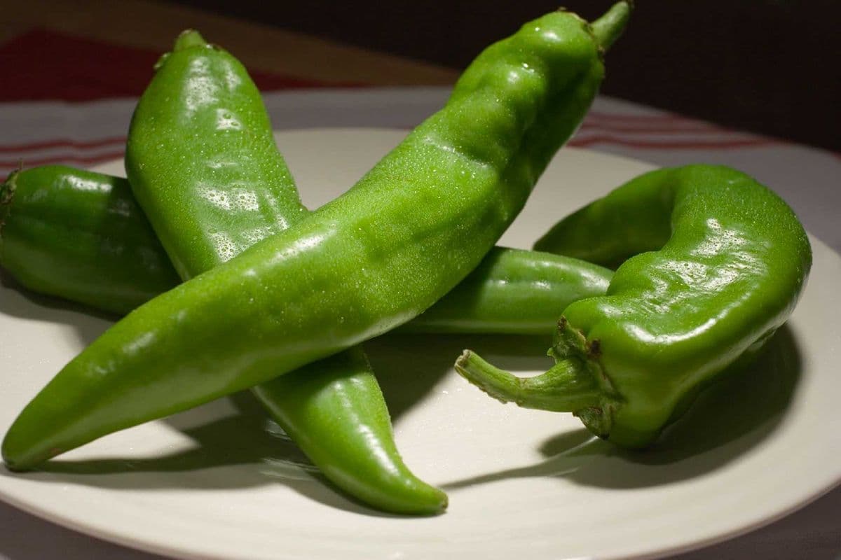 Green Pickled Chilly Peppers