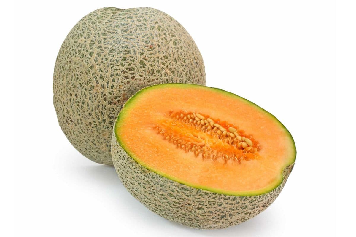 Melon Cantaloupe (each)